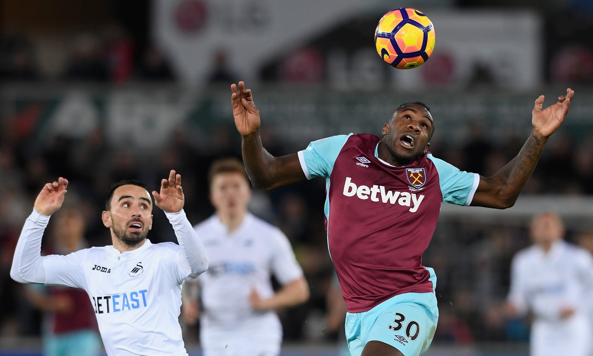 这无疑为本 这无疑为本